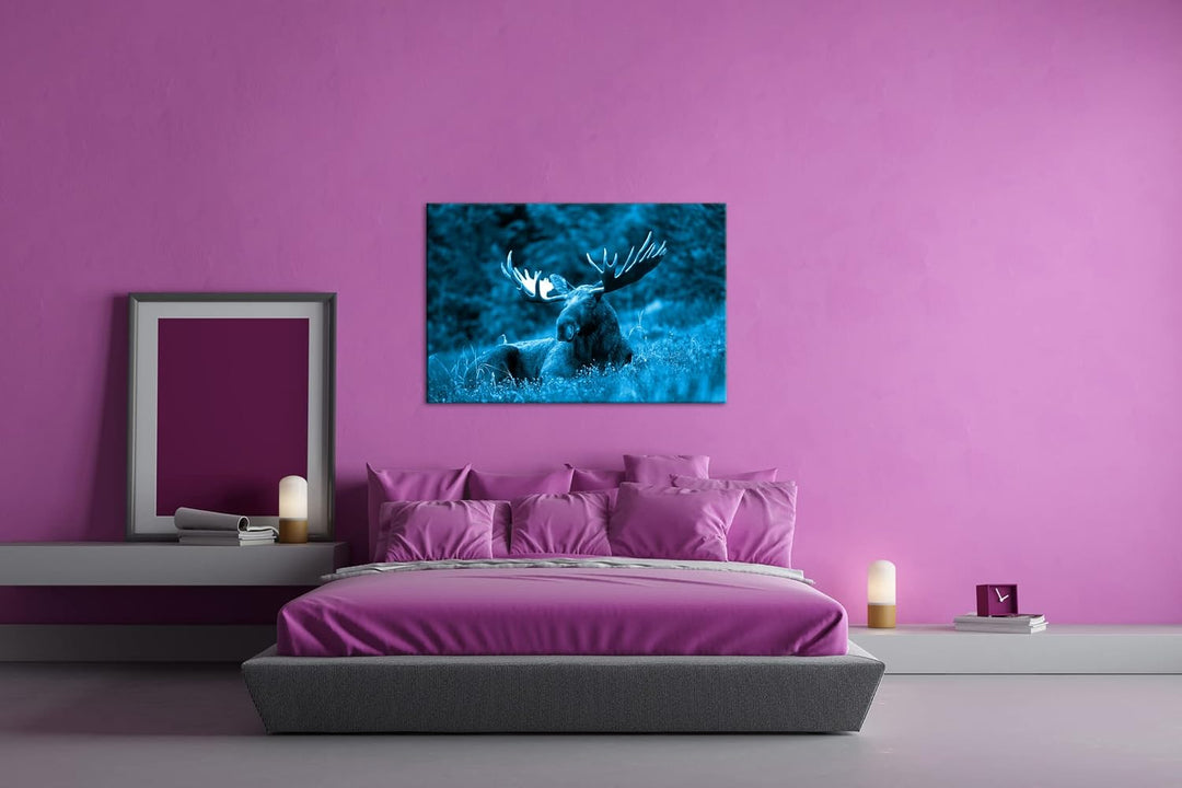 deyoli ruhig liegender Elch Format 120x80 Effekt: Monocrome Blau als Leinwandbild, Motiv fertig gera
