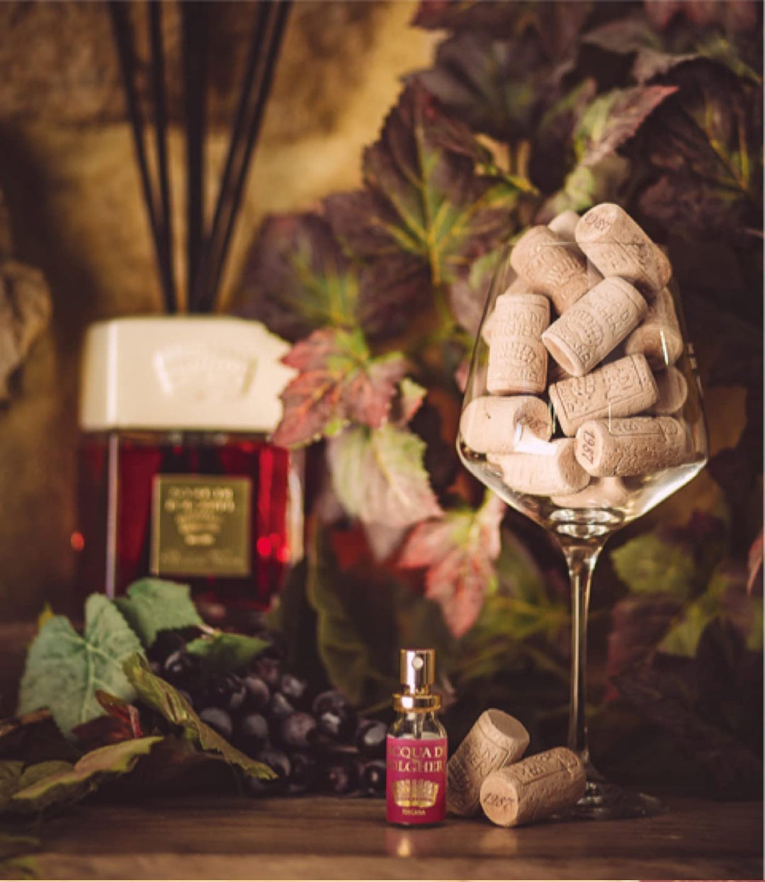 Dr. Taffi Acqua di Bolgheri Eau de Parfum Bacche di Vinum - 100ml