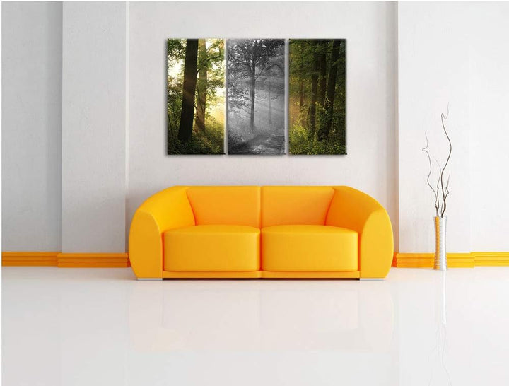 Ruhiger Waldweg im Grünen schwarz/weiss 3-Teiler Leinwandbild 120x80 Bild auf Leinwand, XXL riesige