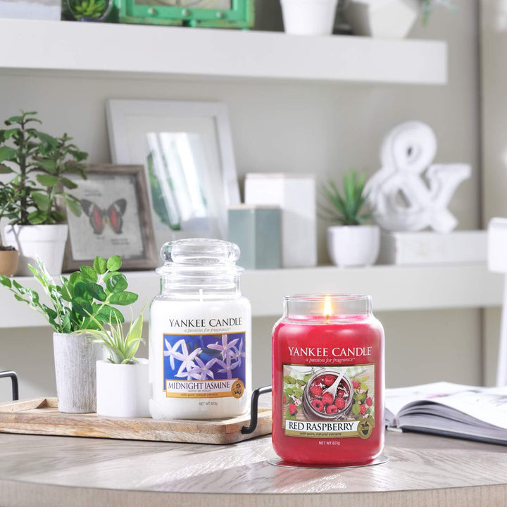 Yankee Candle Duftkerze im Glas (mittelgross) | Midnight Jasmine | Brenndauer bis zu 75 Stunden Midn