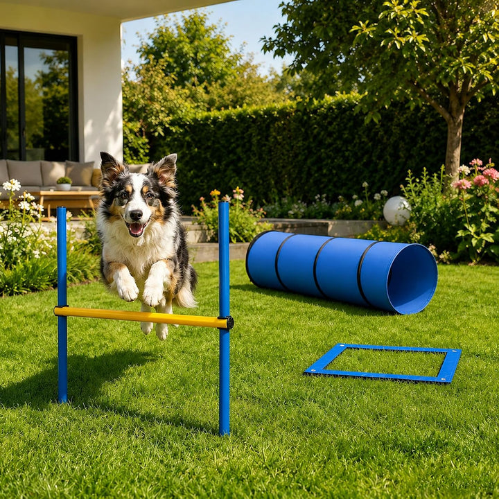 Hunde Agility Tunnel Set, Faltbarer Trainingstunnel mit Sprungring
