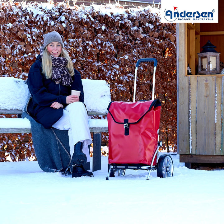 Andersen Shopper Royal mit Kugellager Alu klappbar mit Kugellagerrad Ø 25 cm und 49 Liter Tasche Ort