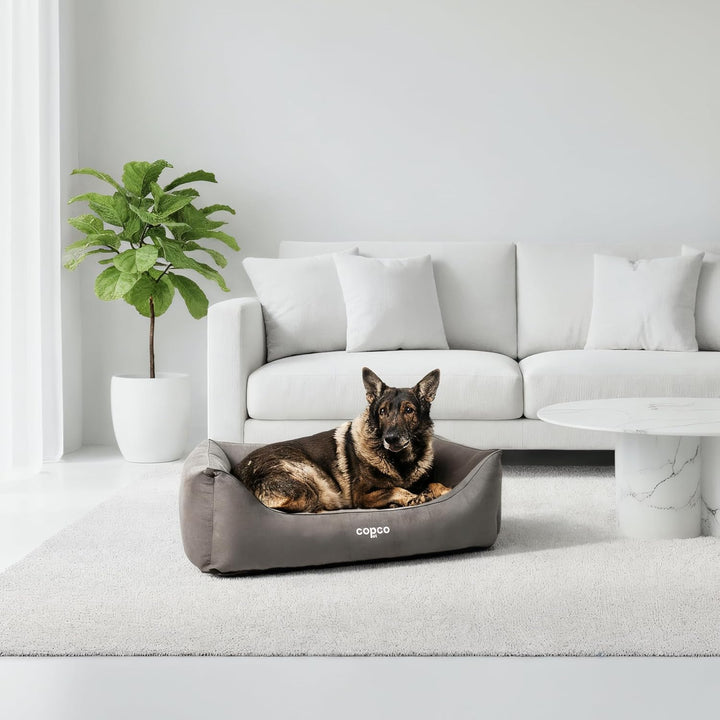 Orthopädisches Hundebett mittelgrosse Hunde【waschbar & rutschfest】Hundekorb L Kunstleder in Wildlede