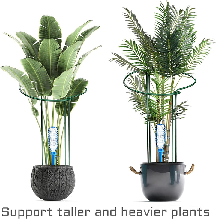 KAZITOO 4 Stück grosse 60cm hohe Bogen Pflanze Stützpfähle, 4mm starker Metallgarten unterstützt grü