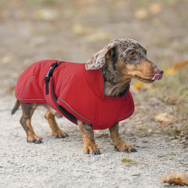 Hundemantel Dackel, Winddichter Wasserdichter Wintermantel Für Dackel Hunde, Hundejacke Für Grosse H