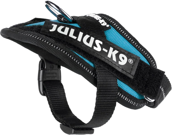 Julius-K9, IDC Powergeschirr, Grösse: 3XS / Baby 1, Aquamarine Aquamarine 3XS / Baby 1, Aquamarine 3
