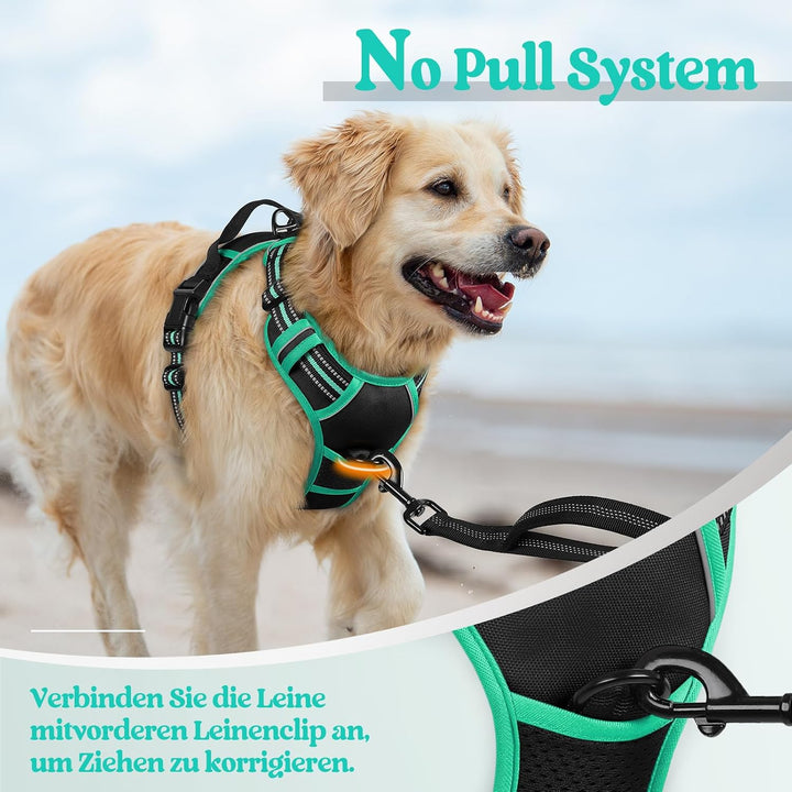 rabbitgoo Hundegeschirr Mittelgrosse Hunde, Anti Zug Geschirr mit Kontrolle, No Pull Verstellbar Hun
