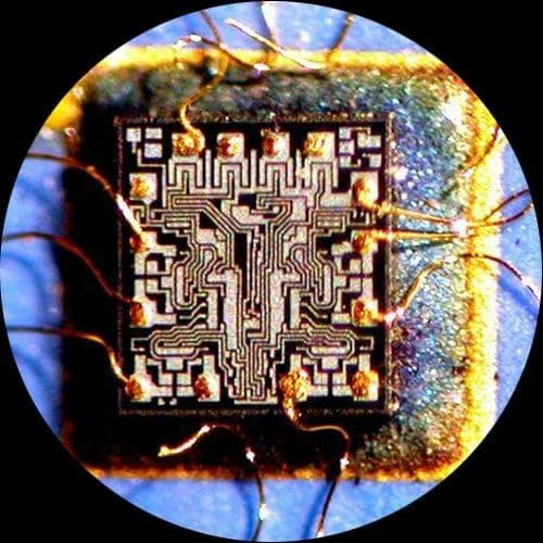 AmScope SM-4TZZ-B Trinokulares Stereo-Zoom-Mikroskop mit Schwarzem Doppelarm-Ausleger, 3.5X-180X, Sc