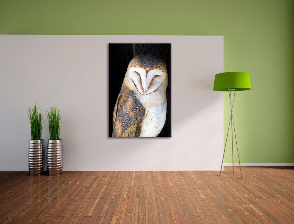 Schleiereule Schwarz/Weiss, Format: 100x70 auf Leinwand, XXL riesige Bilder fertig gerahmt mit Keilr