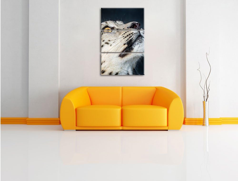 Pixxprint aufschauender Schneeleopard als Leinwandbild - Grösse: 3-Teilig (120x80cm) - Wandbild - Ku