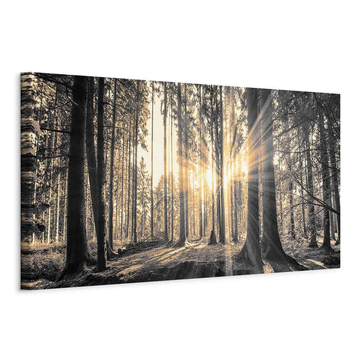 murando - Bilder Wald 135x45 cm Vlies Leinwandbild 1 tlg Kunstdruck modern Wandbilder XXL Wanddekora