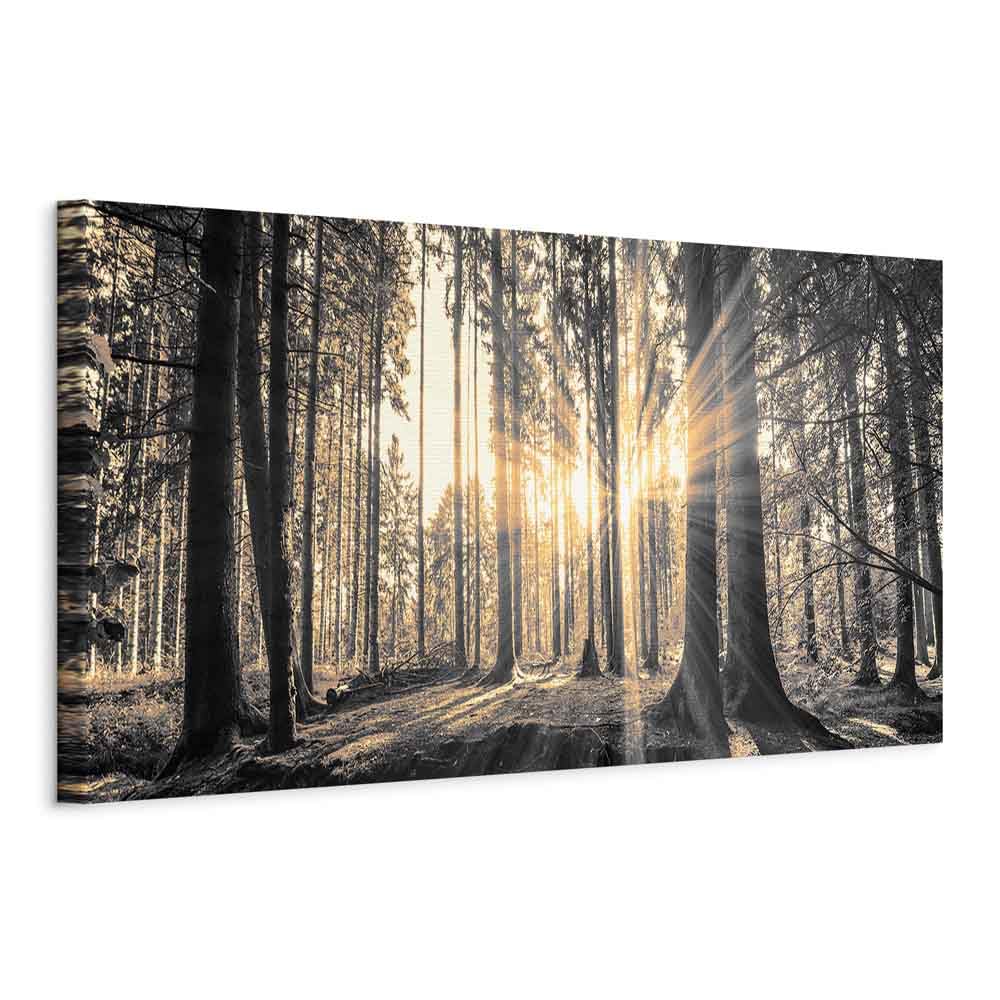murando - Bilder Wald 150x50 cm Vlies Leinwandbild 1 tlg Kunstdruck modern Wandbilder XXL Wanddekora