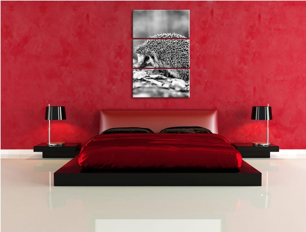 Pixxprint Igel im Laub als Leinwandbild/Grösse: 3 Teilig (120x80) cm/Wandbild/Kunstdruck/fertig besp