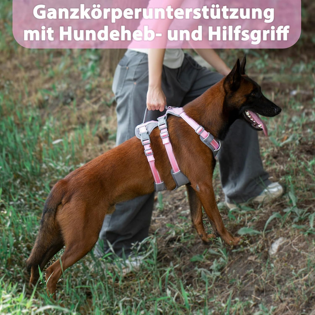 Huntboo Sicherheitsgeschirr Hund Ausbruchsicher, Panikgeschirr für Hunde, Reflektierendes Geschirr H