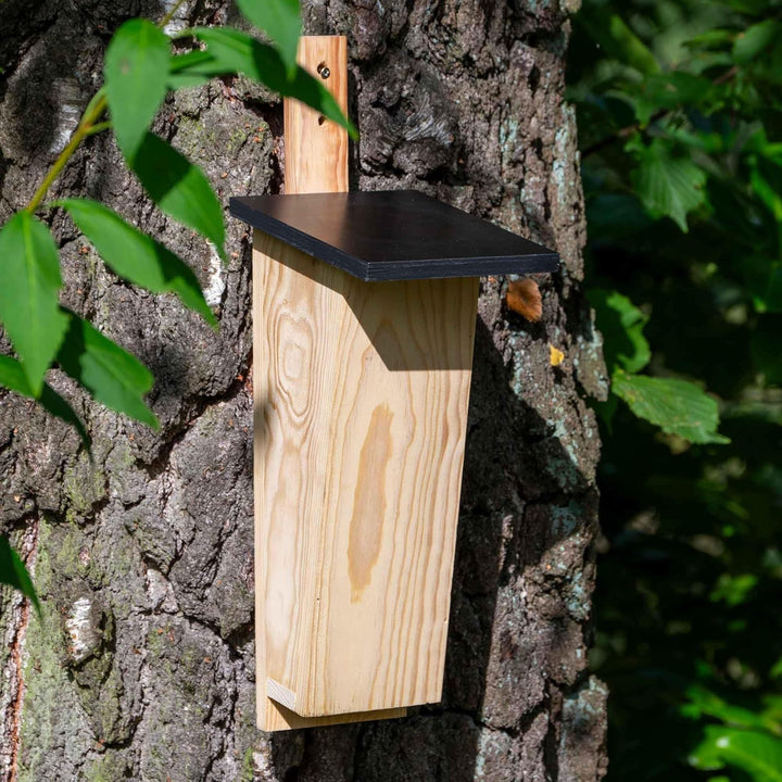 dobar® Spezial-Nistkasten für Baumläufer - Vogelbrutkasten zum Aufhängen - 14 x 17 x 35 cm - Kiefer