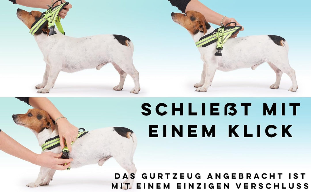 Hundegeschirr mit 3 Metallösen zur Befestigung Ihrer Brust oder Ihres Brustgurts, um Ihren Hals Nich