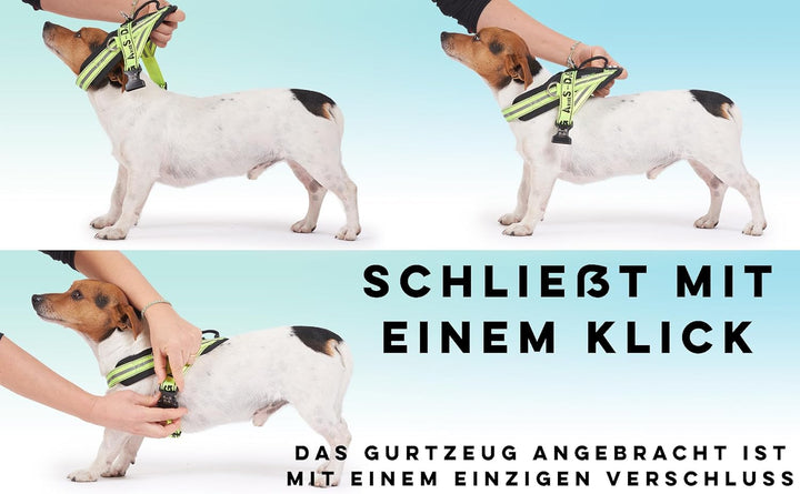 Hundegeschirr mit 3 Metallösen zur Befestigung Ihrer Brust oder Ihres Brustgurts, um Ihren Hals Nich