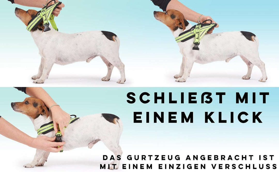 Hundegeschirr mit 3 Metallösen zur Befestigung Ihrer Brust oder Ihres Brustgurts, um Ihren Hals Nich