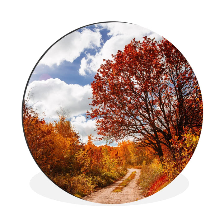 MuchoWow Wandbild Rund Wanddeko Deko Wohnzimmer Bilder 30x30 cm Baum - Weg - Herbst, 30x30 cm