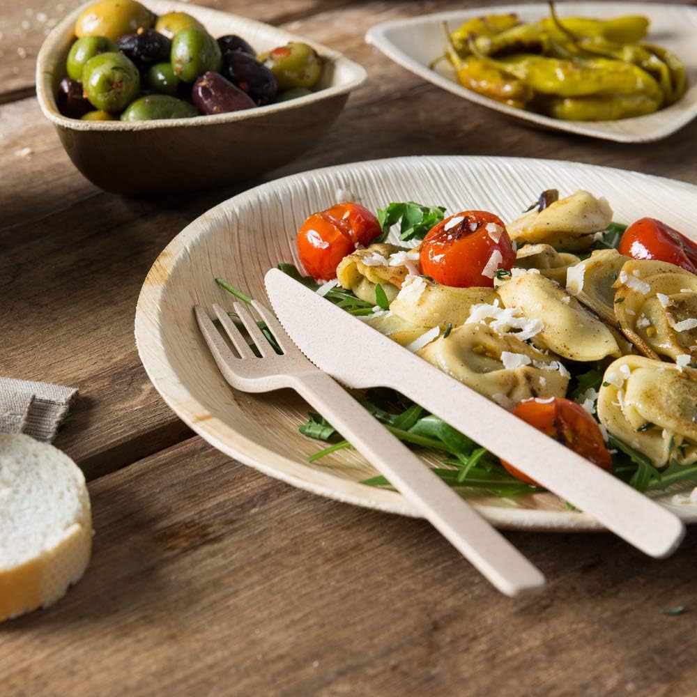 BIOZOYG Bio Mehrweg-Besteck Stabil Plastik-Besteck-Messer I Kompostierbares Besteck Bio-Kunststoff P