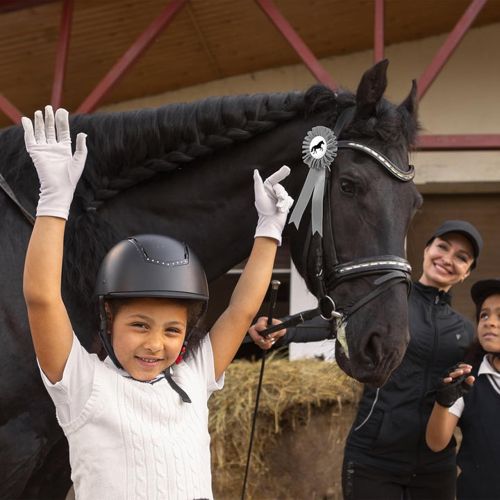 5 Stück Turnierschleife Pferd Turnierschleife Hobby Horse Turnierschleifen Abzeichen Turnierschleife