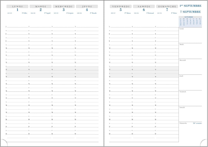 Exacompta Nil SAD 29 Taschenkalender, September 2016 bis Dezember 2017, Schwarz
