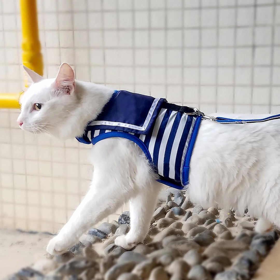 Yizhi Miaow Katzengeschirr und Leine zum Spazierengehen, ausbruchsicher, verstellbares Katzengeschir