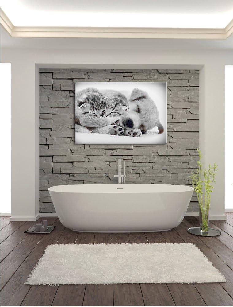 Pixxprint Hundewelpe mit kleinen Kätzchen als Leinwandbild/Grösse: 100x70 / Wandbild/Kunstdruck/fert