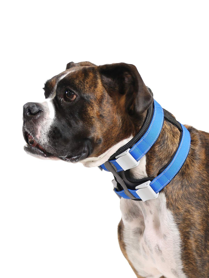 Cesar Millan Pack Leader Collar™ - Trainingshalsband des Hundeflüsterers Cesar Millan (Mittel, Blau)