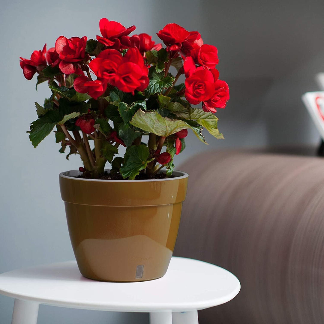 Santino ASTI 3er Set 34CM Selbstwässernder Blumentopf mit Wasserstandsanzeiger für Anlagen, Blumen,