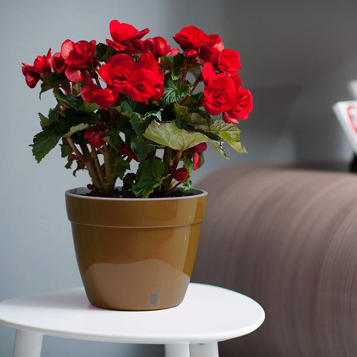 Santino ASTI 3er Set 34CM Selbstwässernder Blumentopf mit Wasserstandsanzeiger für Anlagen, Blumen,