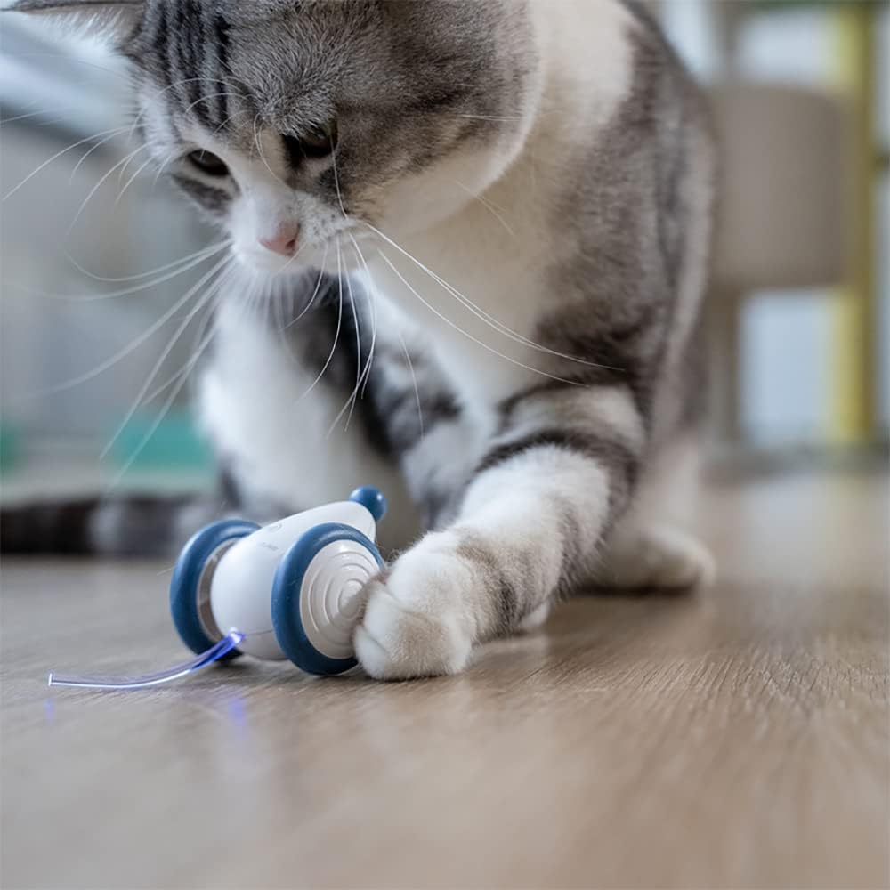 INF Katzenspielzeug Elektrisch Spielmaus, Spielmäuse für Katze mit USB-Kabel, Interaktive Spielzeug