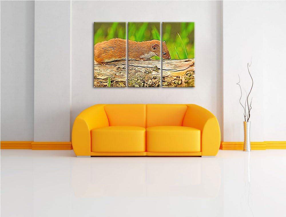 Süsses Frettchen 3 Teilig, Gesamtgrösse 120x80 cm auf Leinwand, XXL riesige Bilder fertig gerahmt mi