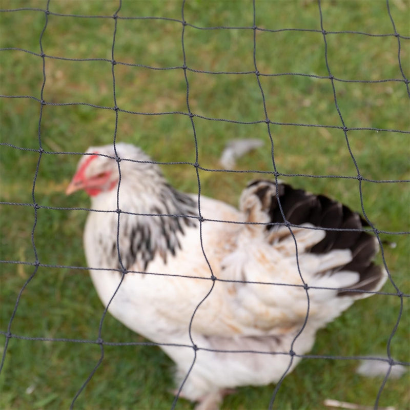 VOSS.farming 5 x 5m Geflügelschutznetz, Abdecknetz, Teichnetz, Vogelschutznetz, schwarz, Volieren Ne