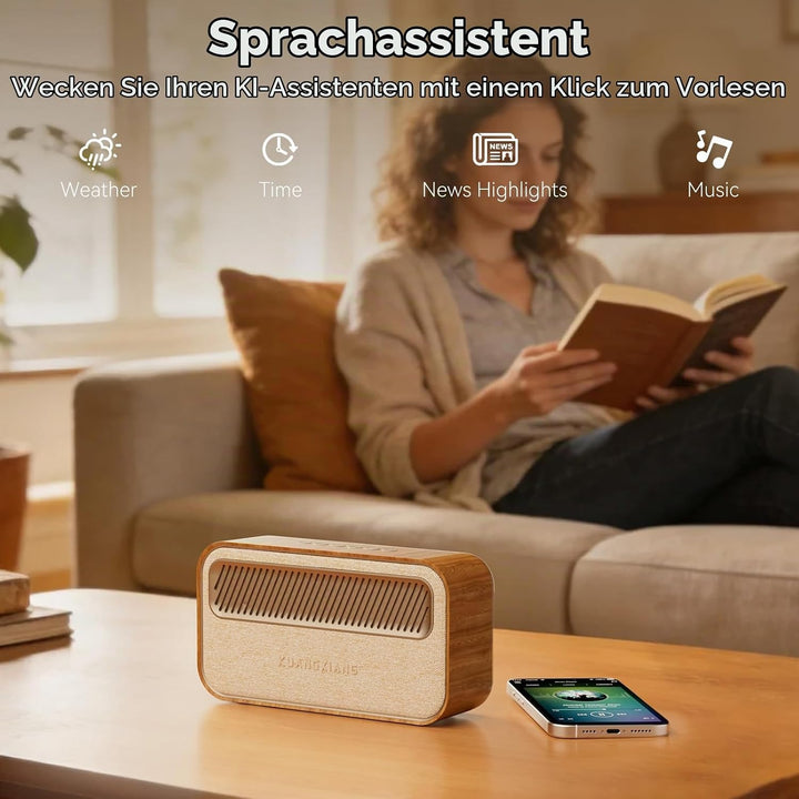 Retro Bluetooth Lautsprecher, Musikbox Bluetooth 45W Dual Lautsprecher | Bluetooth Speaker 5.3 Lauts