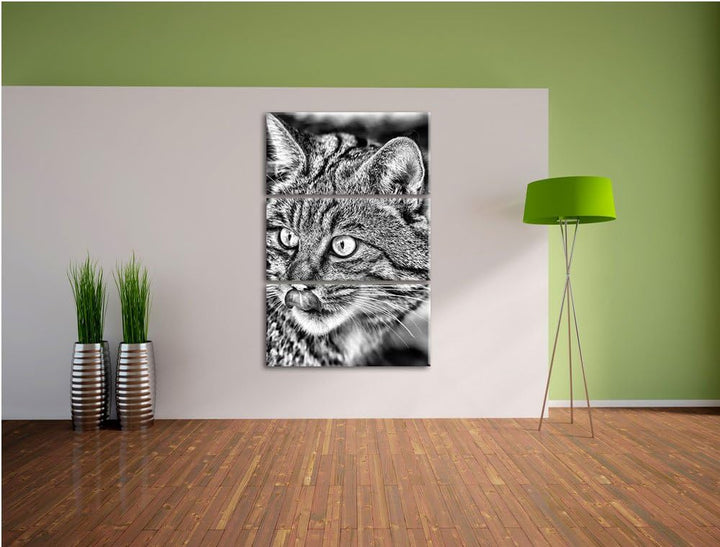 Pixxprint schöne Manul in Schneelandschaft als Leinwandbild/Grösse: 3 Teilig (120x80) cm/Wandbild/Ku