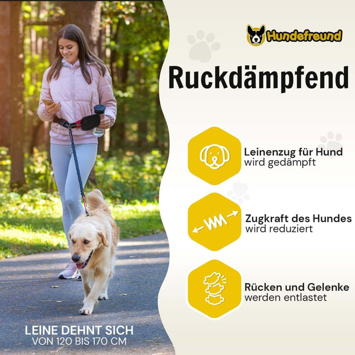 Joggingleine | Premium Hundeleine 120cm Bis 170cm | Elastisch Reflektierend Reissfest Gepolsterter B