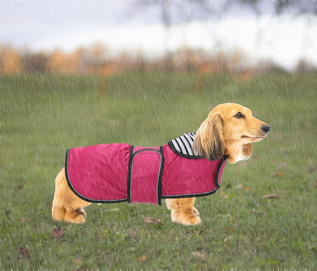 Geyecete Hunde Regenmantel,Einstellbar Wasserdicht Hundejacke für Dackel,Regenmantel mit reflektiere