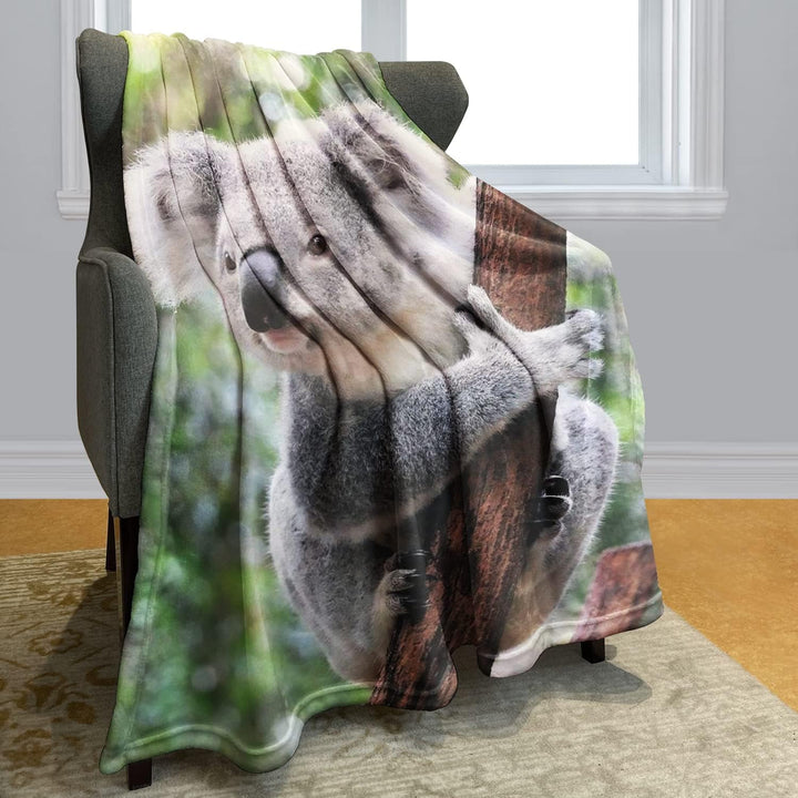 Zomer Kuscheldecke,Koala,125x150cm,Grau,Flauschige Decke Mikrofaser Fleecedecke Weiche &amp; Warme Sofad