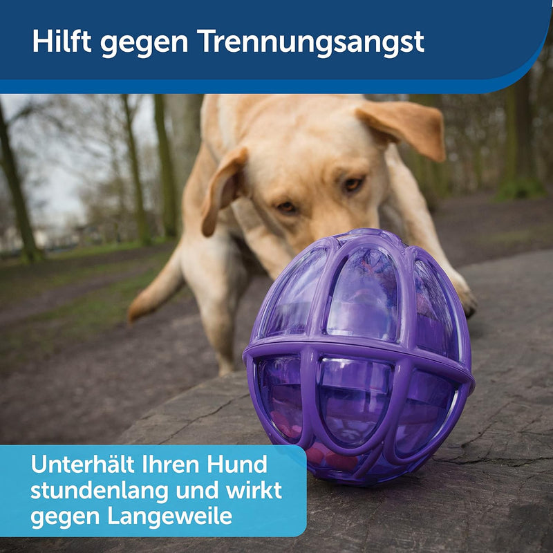 PetSafe Kibble Nibble Hunde-Snackspielzeug für Leckerlis und Trockenfutter, Spülmaschinenfest, BPA-f