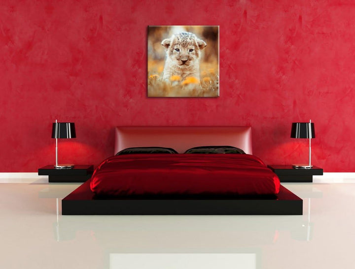 Niedliches Löwenbaby, Format: 70x70 auf Leinwand, XXL riesige Bilder fertig gerahmt mit Keilrahmen,