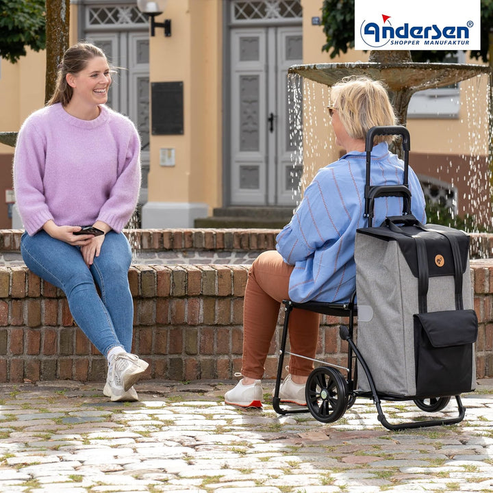ANDERSEN Einkaufstrolley - Komfort Shopper Senta 2.0 grau | mit Sitz, klappbar, aus Stahl, bis 50 kg