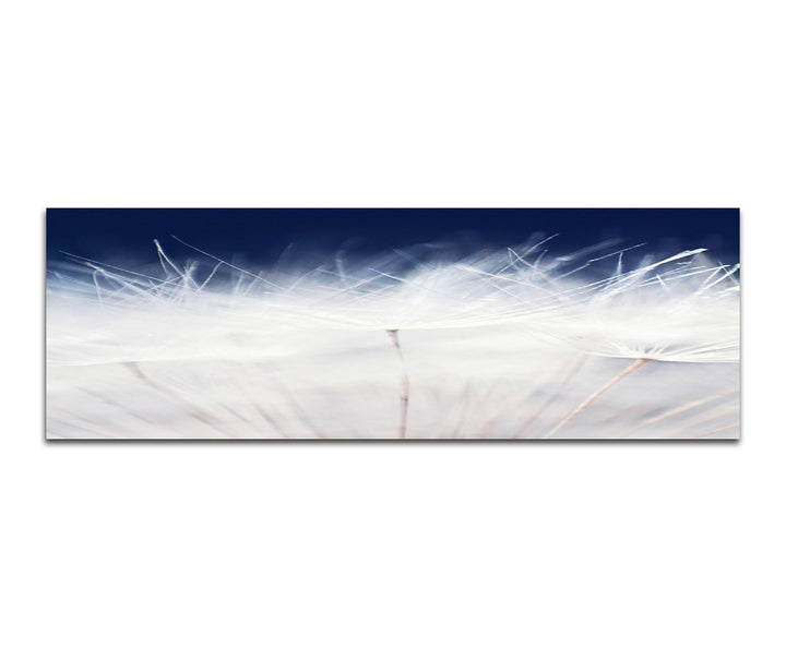 Paul Sinus Art Panoramabild auf Leinwand und Keilrahmen 150x50cm Pusteblume Löwenzahn Grossaufnahme