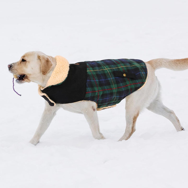 CITÉTOILE Warme Hundemantel Fleece, Wintermantel Winterjacken für Kleine/Grosse/Mittlere Hunde, Hund