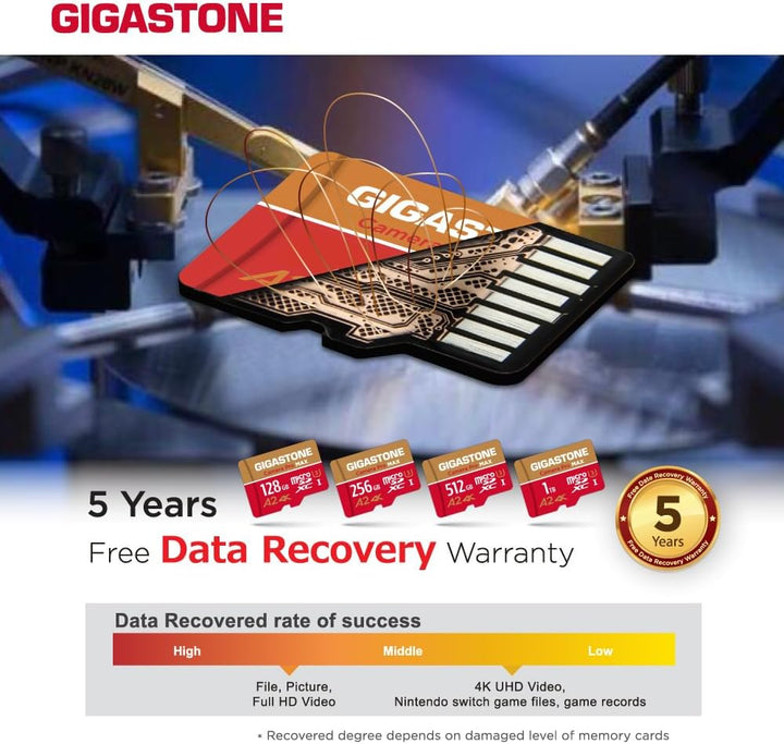 [5 Jahre kostenlose Datenwiederherstellung] GIGASTONE 256 GB Micro SD Karte, Kamera Pro MAX, bis zu