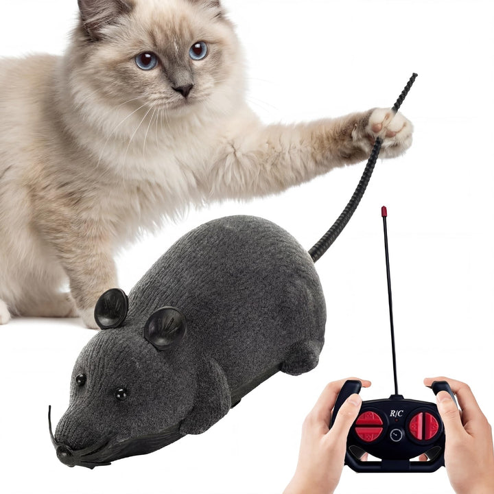 Katzenspielzeug Maus Elektrisch, Elektrisches Katzenspielzeug, Ferngesteuerte Maus für Katzen, Reali