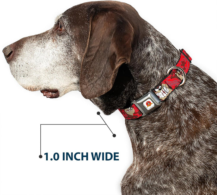 Buckle-Down 22,9–38,1 cm lta-Looney Melodien Logo weiss Hund Halsband WL - Fits 18-32" - 1.5" Wide,