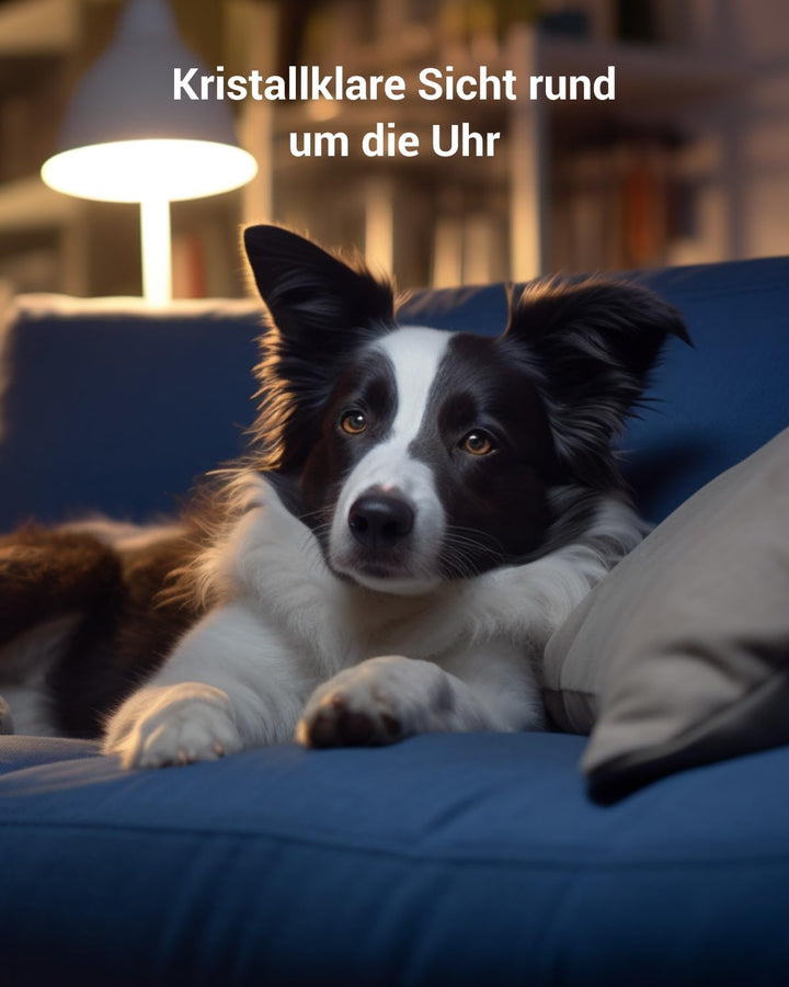 BoyKeep 2.4G/5GHz Überwachungskamera Innen 2K 360° WLAN Überwachungskamera Indoor Hundekamera mit AP