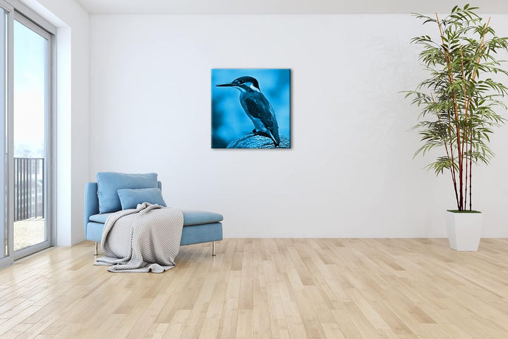 deyoli Eleganter Eisvogel mit blauem Gefieder Format: 70x70 Effekt: Monocrome Blau als Leinwandbild,
