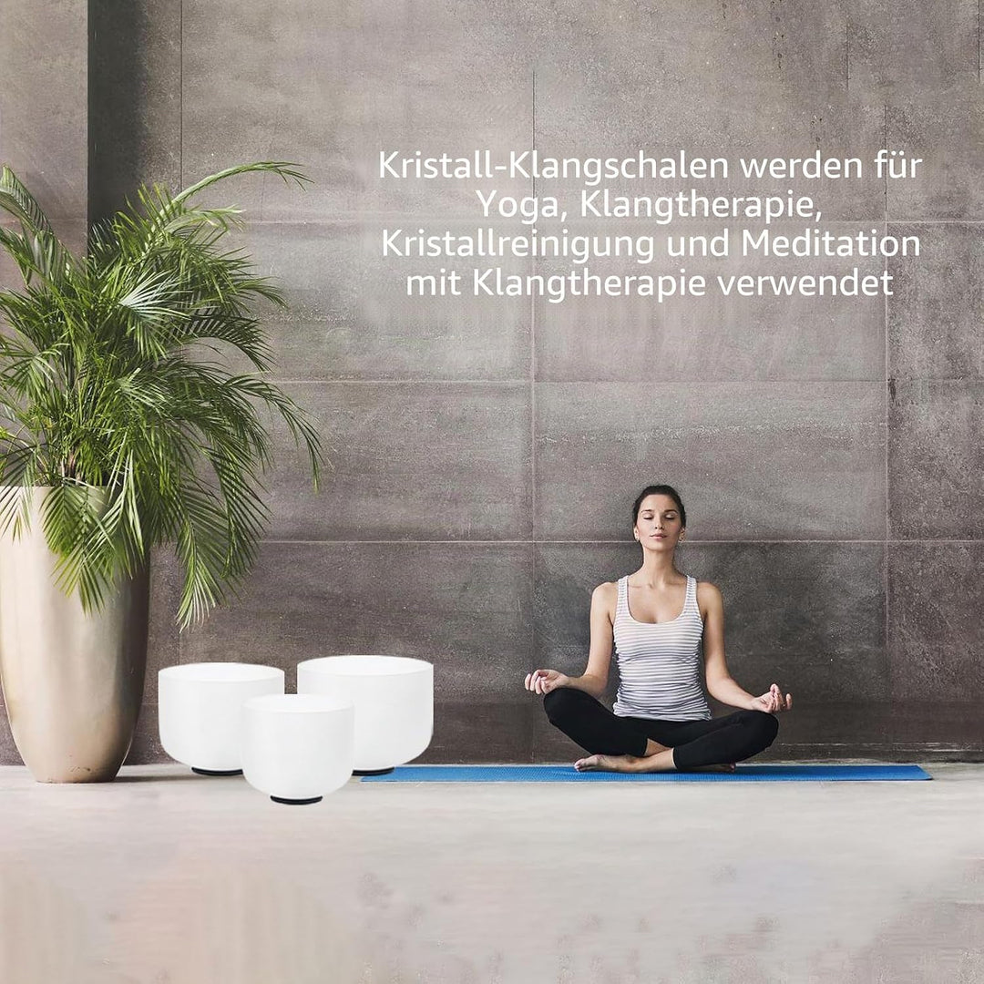 Hye-eun Kristall Klangschalen Set 3 Stück,8-12zoll AFC Note 432 Hz Crystal Singing Bowls Set, Medita